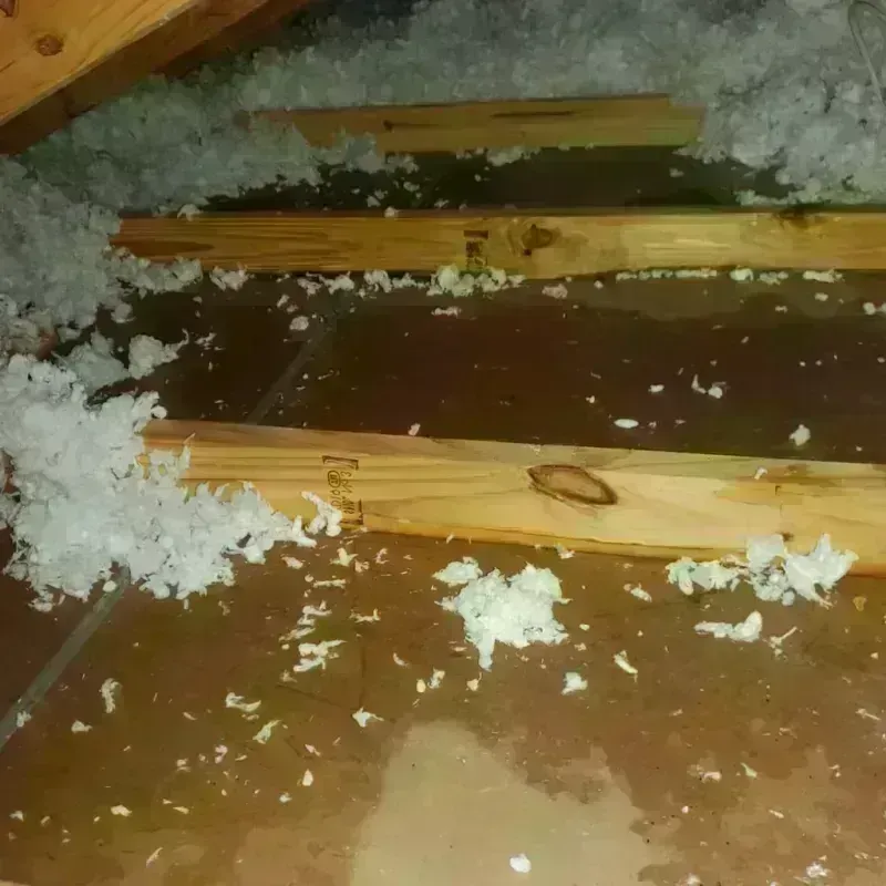 Attic Water Damage in Botetourt County, VA